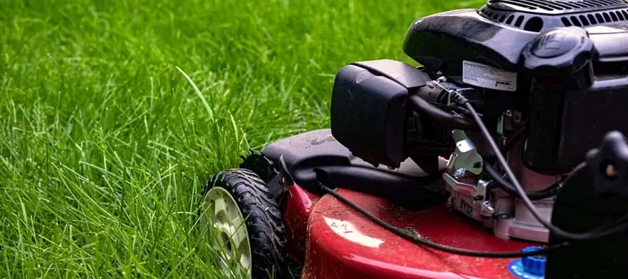 Lawn Mowers for Sale in Zambia