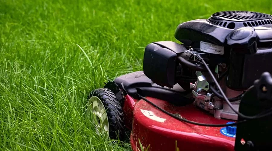 Lawn Mowers for Sale in Zambia